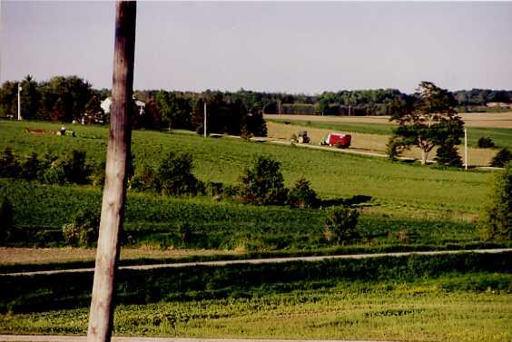 Grn